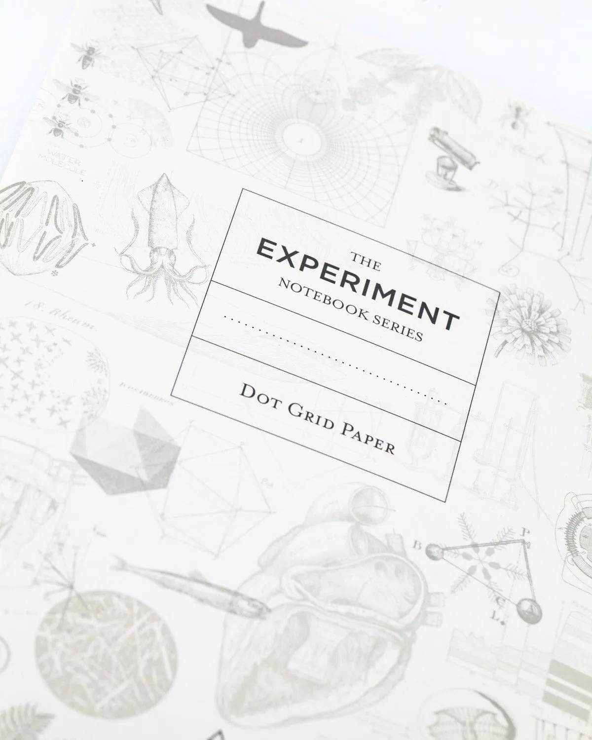 Ascending Regions Softcover Notebook - Dot Grid