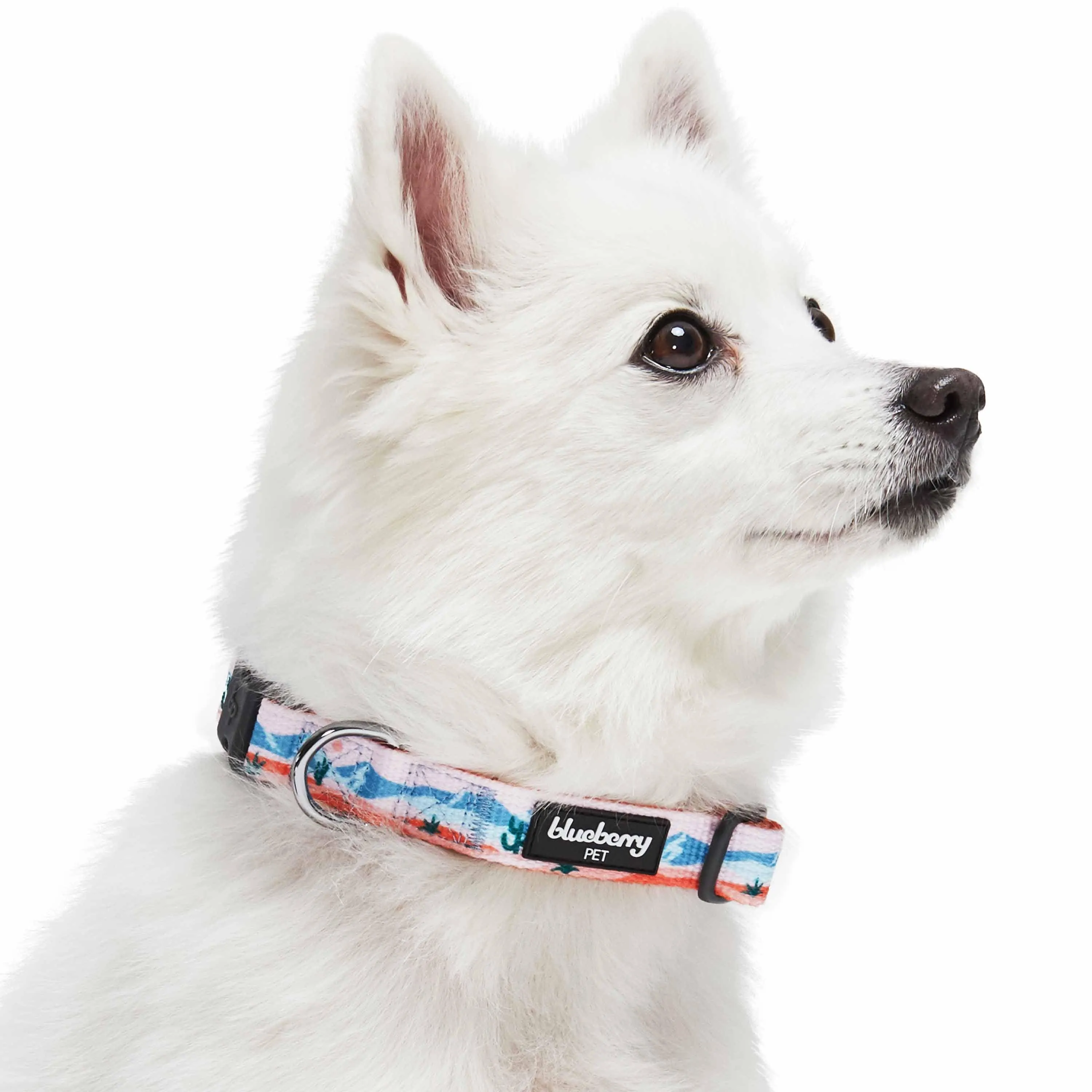 Blueberry Pet x Jackelyn Ho Dog Collar